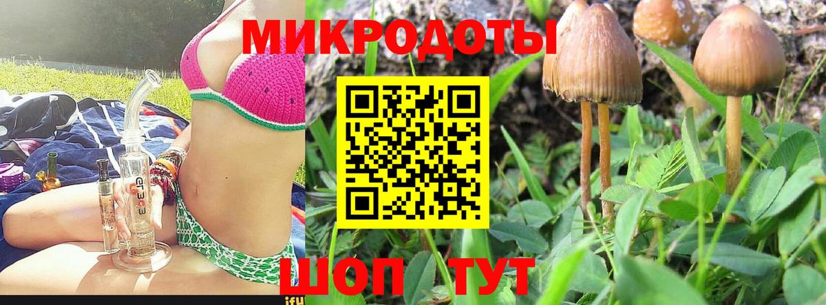 Псилоцибиновые грибы мухоморы Майский