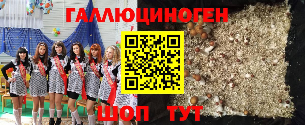Псилоцибиновые грибы Cubensis  Псилоцибиновые грибы прущие грибы  Вход с VPN  Майский 